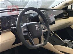 بي واي دي كوين L DM-i